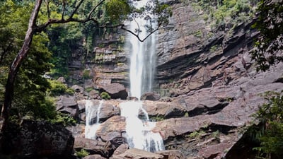Mapalana Ella