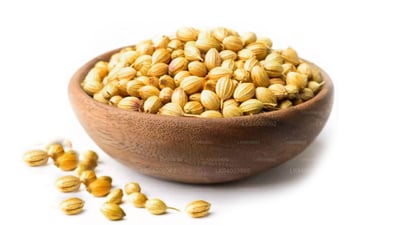 Coriander