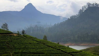 Maskeliya