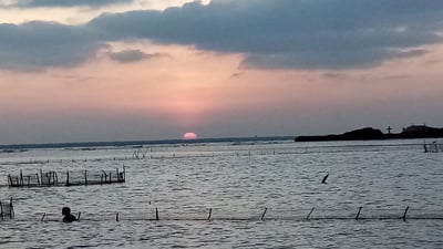 Kurikadduwan Jetty