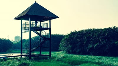 Beddagana Wetland Park