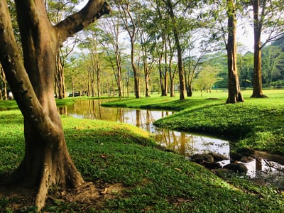 Botanical Gardens