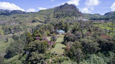 Dambatenne Tea Factory