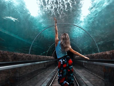 Water World Aquarium & Bird Park