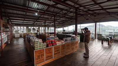 Halpewatte Tea Factory