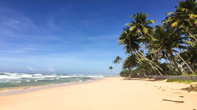 Habaraduwa