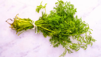 Dill