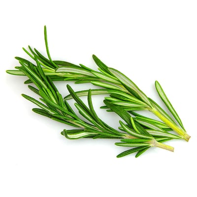 Rosemary