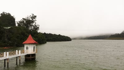 Pattipola