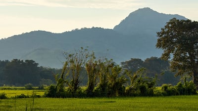 Wellawaya
