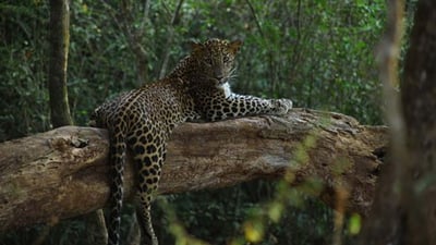 Hunuvilagama