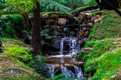 Botanical Gardens