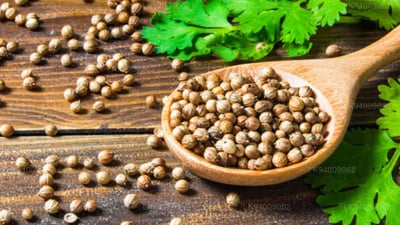 Coriander