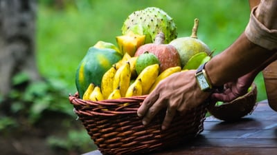 Midigama Fruit Farm