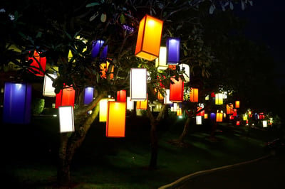 Vesak Buckets