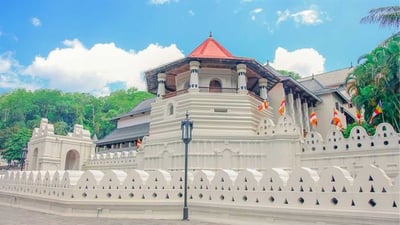 Cultural Tours