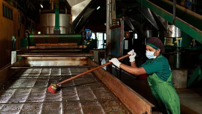 Halpewatte Tea Factory