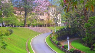 Peradeniya University