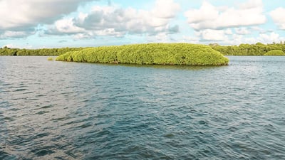 Maha Oya