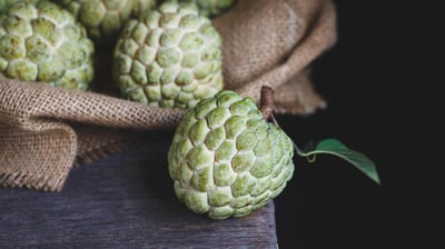 Sugar Apple