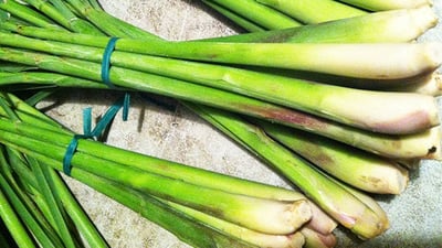 Lemongrass and Citronella