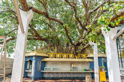 Kalutara Bodhiya