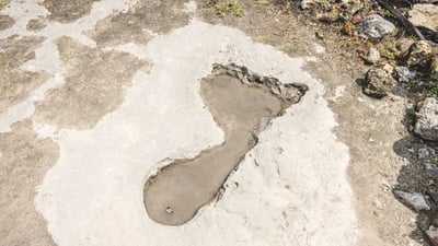The Giant Footprint