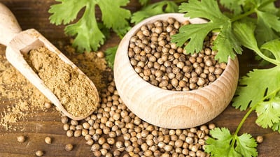 Coriander