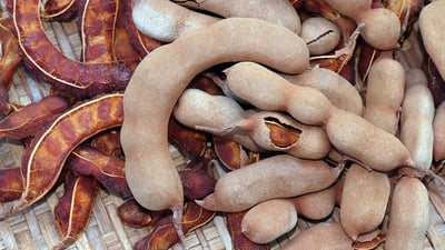 Tamarind