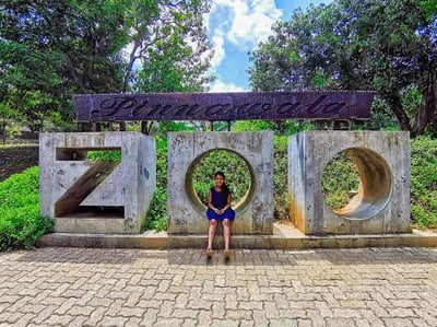 Pinnawala Open Zoo