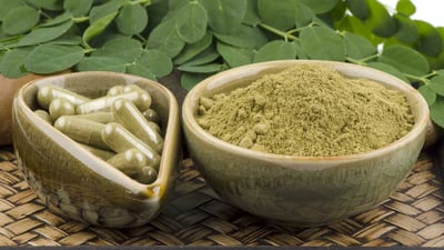 Moringa oleifera
