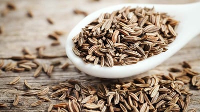 fennel