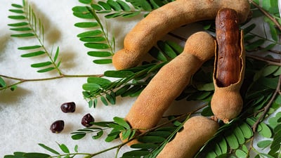 Tamarind