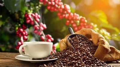 Ceylon Coffee (Ceylon Arabica)