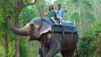 Elephant Riding
