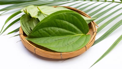 Betel Leaves