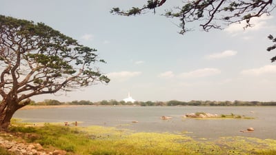 Basawakkulama Wewa