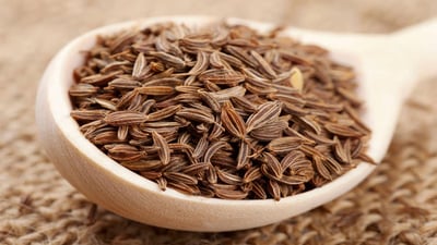 fennel