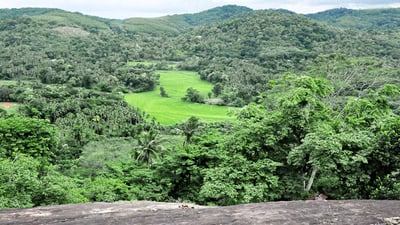 Alawwa