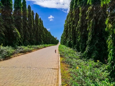 Dry Zone Botanic Gardens