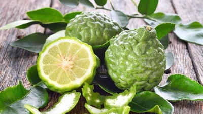 Bergamot Oil/Flavor