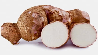 Manihot esculenta