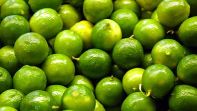 Citrus aurantifolia