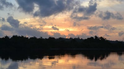 Bolgoda Lake