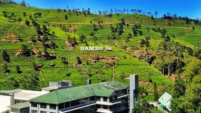 Damro Labookellie Estate