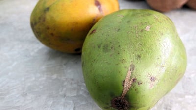 Spondias dulcis