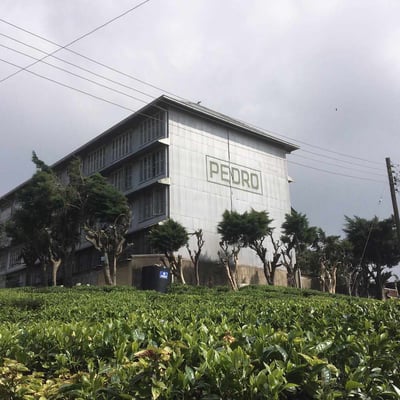 Pedro Tea Estate