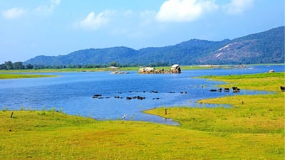 Maduru Oya