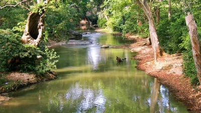 Menik Ganga