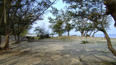 Casuarina Beach